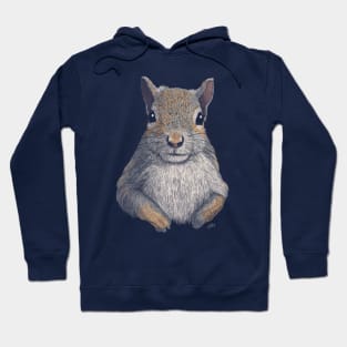 Gray Squirrel Hoodie